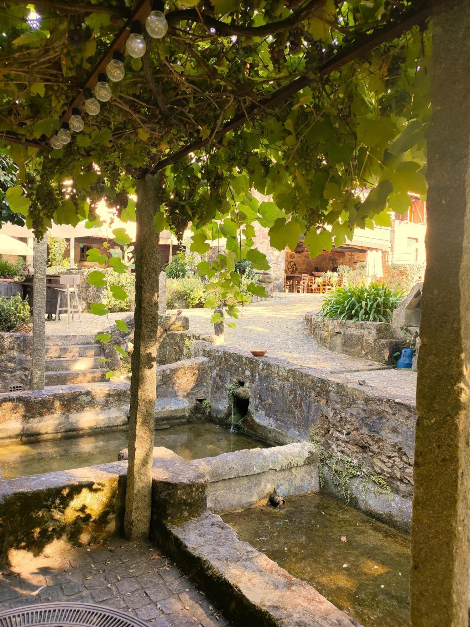 منزل الضيف سانتا ماريا دا فييرا  في Quinta Padre Lobo المظهر الخارجي الصورة